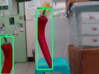 Object Detection
